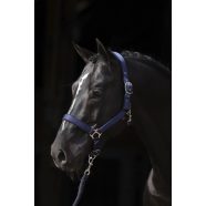 Covalliero Dexter kötőfék polár béléssel