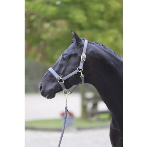 Covalliero Classy kötőfék - szürke, cob 